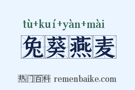 兔葵燕麦是什么意思的图片